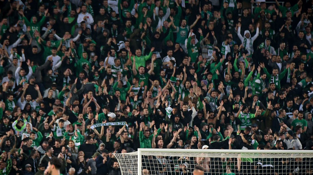 אוהדי מכבי חיפה (צילום: אריאל שלום)