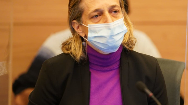 ד"ר שרון אלרעי פרייס (צילום: דוברות הכנסת, דני שם טוב)