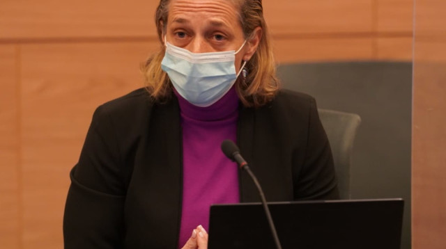 ד"ר שרון אלרעי פרייס (צילום: דוברות הכנסת, דני שם טוב)