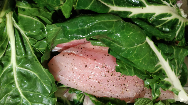 דג ביין מבעבע  (צילום: חיליק גורפינקל )