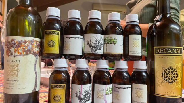 יקב רקנאטי, טעימה עתידית בזום  (צילום: ליאת משען )