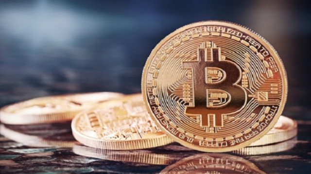 ביטקוין (צילום: Shutterstock)