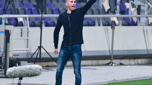 תמיר בן עמי (צילום: אריאל שלום)