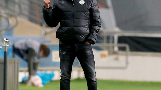 אלישע לוי (צילום: דני מרון)