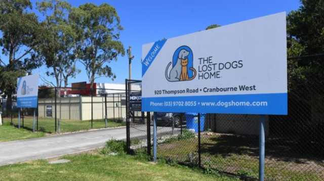 שלט הכניסה של מקלט החיות  (צילום: רשתות חברתיות)