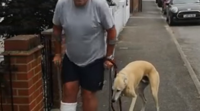 בילי הכלב צולע עם בעליו  (צילום: צילום מסך מתוך הפייסבוק)