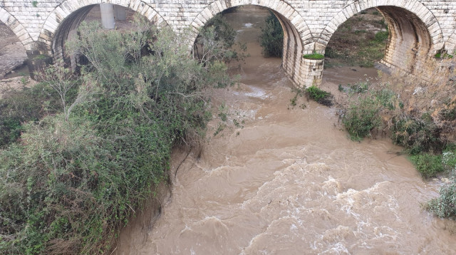 נחל הקישון (צילום: יוסי סורוג'ון, רשות נחל הקישון)