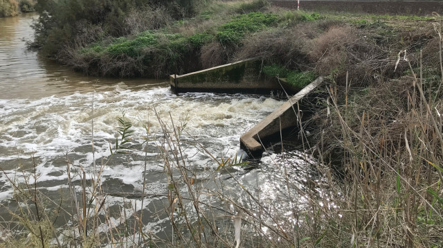 הזרמת ביוב לקישון (צילום: רשות נחל הקישון)