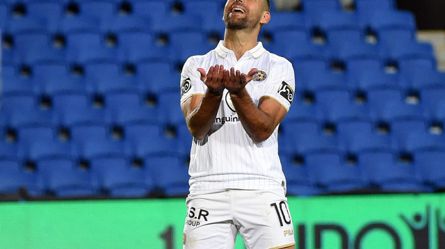 איתי שכטר (צילום: ברני ארדוב)