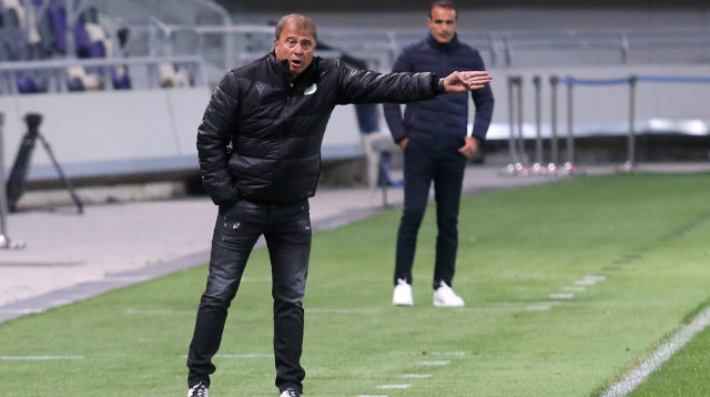 אלישע לוי (צילום: קובי אליהו)