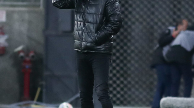 שרון מימר (צילום: דני מרון)