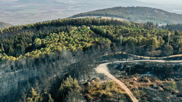 נוף הגליל (צילום: מנחם לדרמן, פלאש 90)