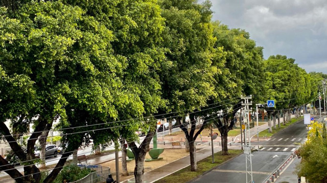 יום מעונן בתל אביב (צילום: אבשלום ששוני)