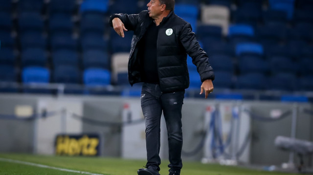 אלישע לוי (צילום: מאור אלקסלסי)