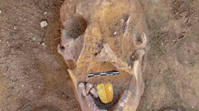 גולגולת עם לשון מזהב (צילום: רשתות חברתיות)