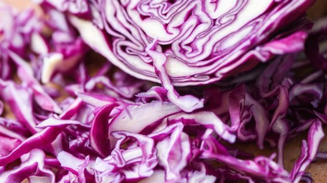 כרוב סגול (צילום: אינג אימג')