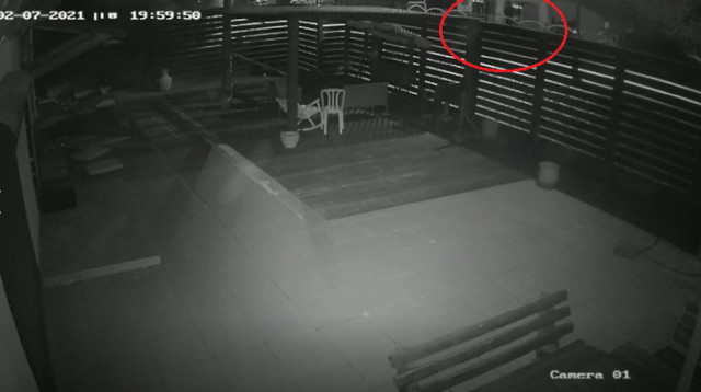 הפורץ מתגנב אל הנכס (צילום: צילום מסך,מצלמות אבטחה)