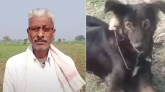 החקלאי והכלב ג'קי (צילום: רשתות חברתיות)