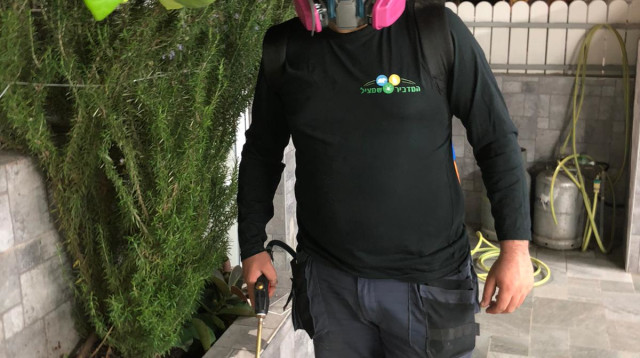 לידור יעקובי מדביר מוסמך - חברת המדביר שמציל (צילום: לידור יעקובי)