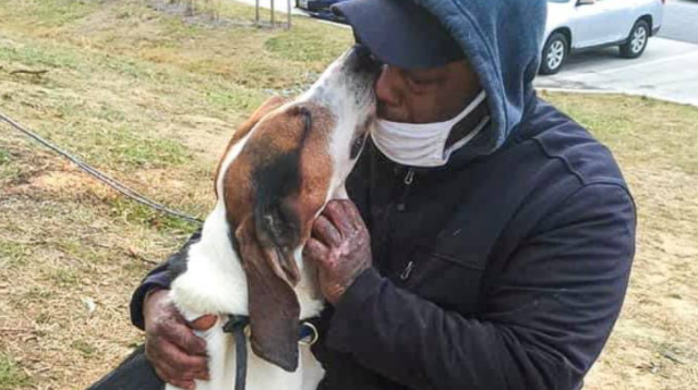 האיחוד המרגש בין הכלב לבעליו (צילום: רשתות חברתיות)