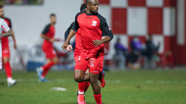 דיין קלי (צילום: מאור אלקסלסי)