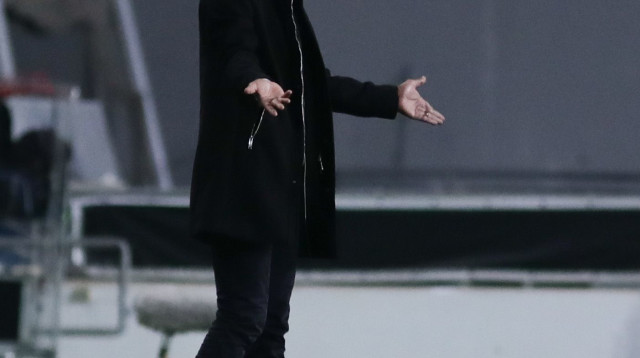 גיא לוזון (צילום: דני מרון)