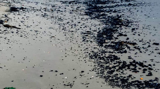 זפת טרייה על פני החוף (צילום: באדיבות עמותת "צלול")