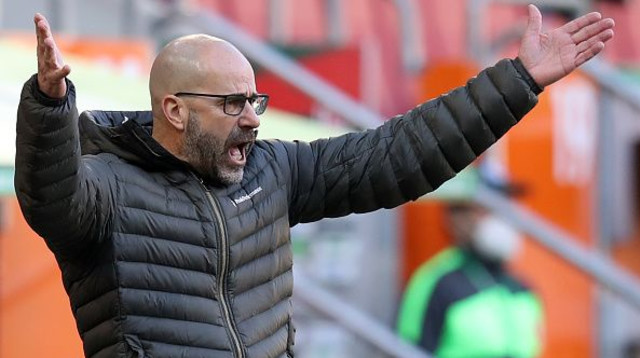 פטר בוס (צילום: picture alliance / Contributor)