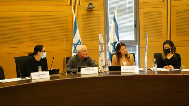 ועדת העבודה והרווחה (צילום: דני שם טוב, דוברות הכנסת)