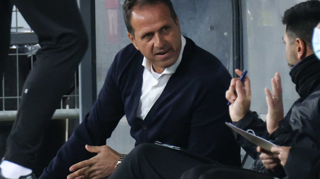 רוני לוי (צילום: דני מרון)