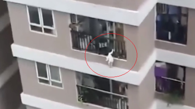 בת השנתיים תלויה באוויר מהקומה ה-12 (צילום: צילום מסך פייסבוק)