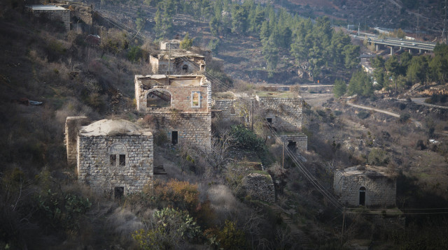 ליפתא (צילום: הדס פארוש, פלאש 90)