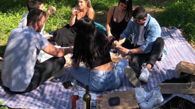 יקב אמפורה. פיקניק  (צילום: באדיבות היקב )