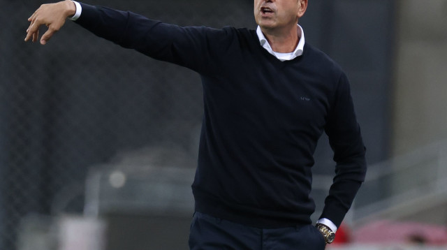 רוני לוי (צילום: דני מרון)