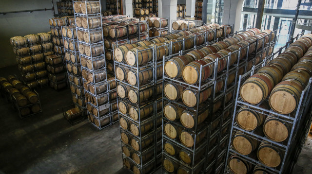 יקב ברקן - חדר החביות  (צילום: אלירן אביטל)