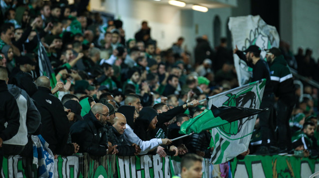 אוהדי מכבי חיפה (צילום: מאור אלקסלסי)