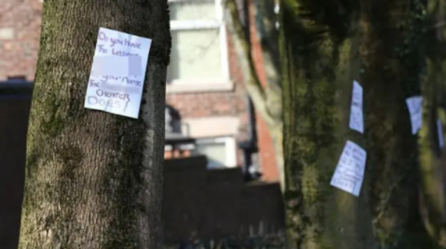 כל העיר יודעת (צילום: רשתות חברתיות)