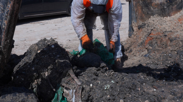 אסון הזפת בחופי הארץ (צילום: אלעד יעקב לע"מ)