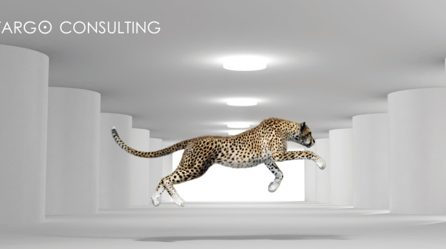 איך לתכנן את הסטארט אפ שלך לפי שיטת "סטארט-אפ רזה Lean Startup" (צילום: depositphotos)