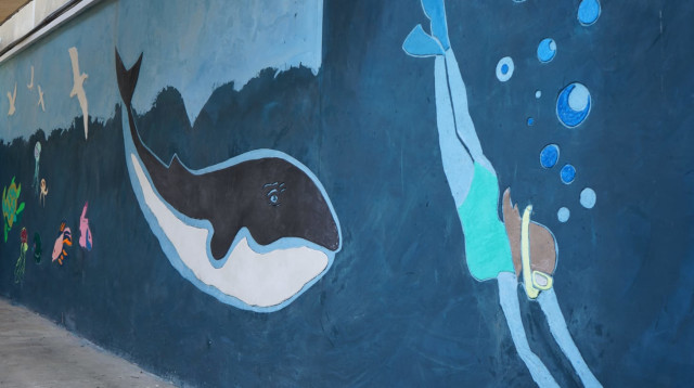 המוזיאון הימי בחיפה  (צילום: ניאזר פוראני)