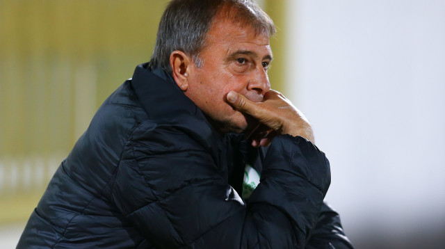 אלישע לוי (צילום: לירון מולדובן)