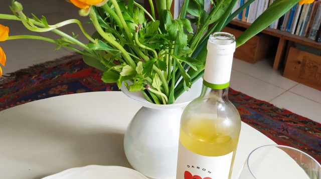 קציצות דגים ויין מהדרום  (צילום: חיליק גורפינקל )