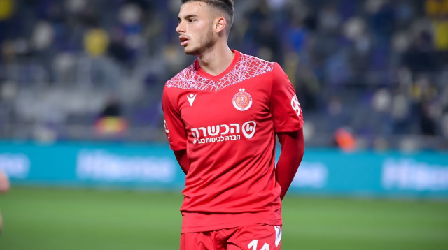 דני גרופר (צילום: אריאל שלום)