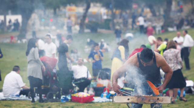 מנגלים ביום העצמאות (צילום: מרק ישראל סלם)