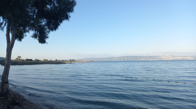הכינרת (צילום: טלי בר, איגוד ערים כינרת)