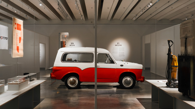 סוסיתא (צילום: דור קדמי)