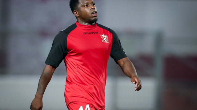 נייג'ל האסלביינק (צילום: מאור אלקסלסי)