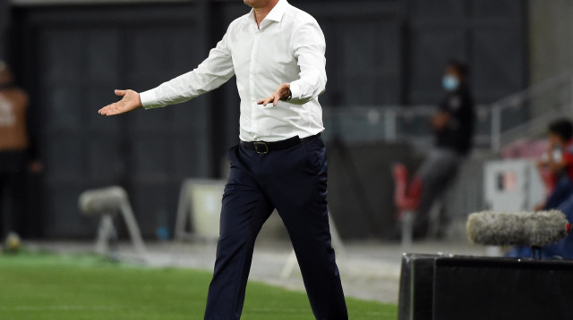 רוני לוי (צילום: ברני ארדוב)