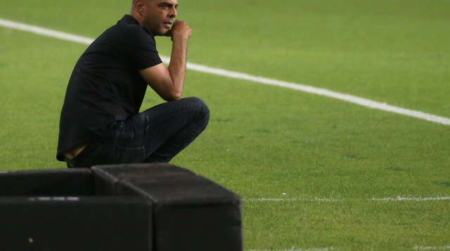 גיא לוזון (צילום: אודי ציטיאט)