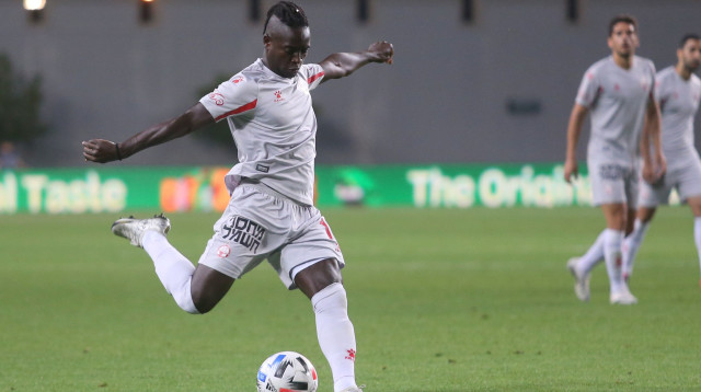 סינטיהו סלליך (צילום: קובי אליהו)